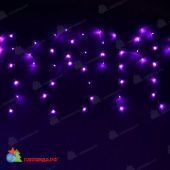 Гирлянда Бахрома, 3х0.5 м., 112 LED, фиолетовый, без мерцания, прозрачный ПВХ провод с защитным колпачком. 07-3472